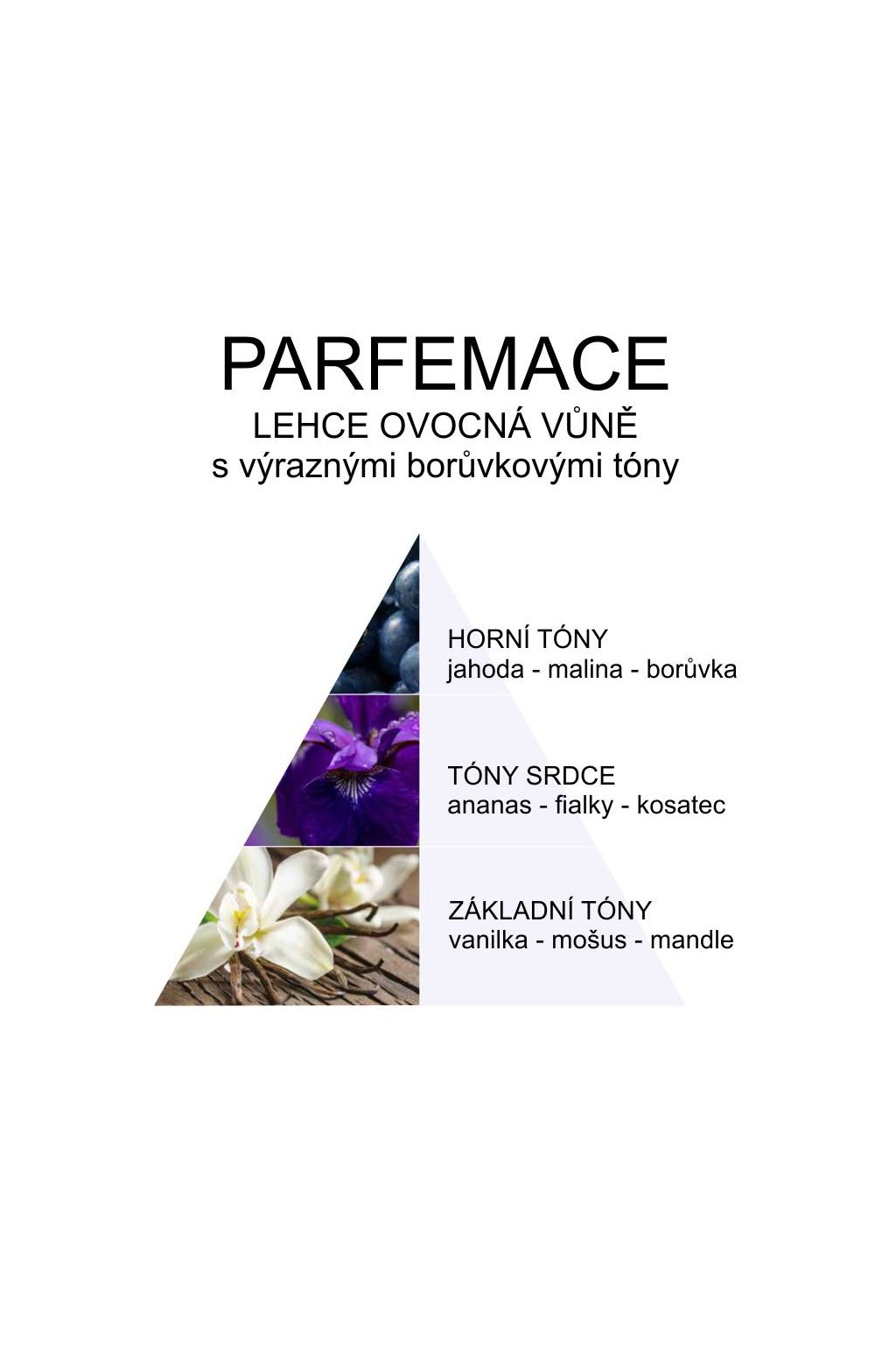 Cotril ICY Blond fialový šampón pro ledovou blond 1000 ml