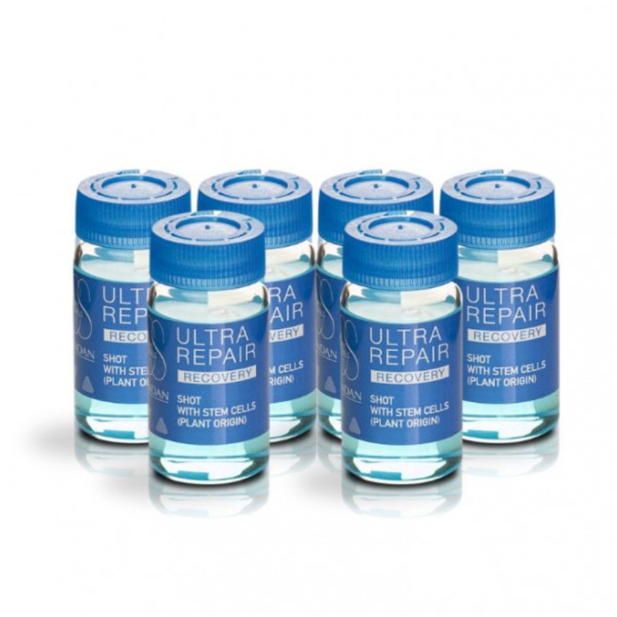 Lendan Recovery Ultra Repair pro regeneraci vlasů 10 ml