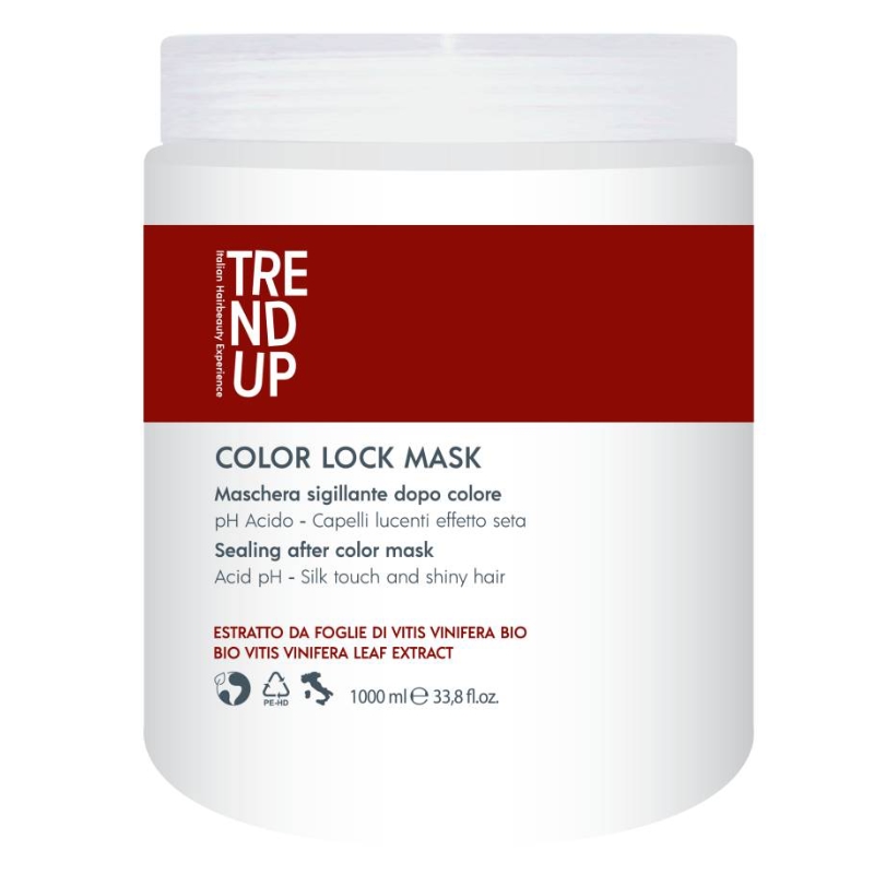 Trend Up Color Lock maska pro barvené vlasy 1000 ml