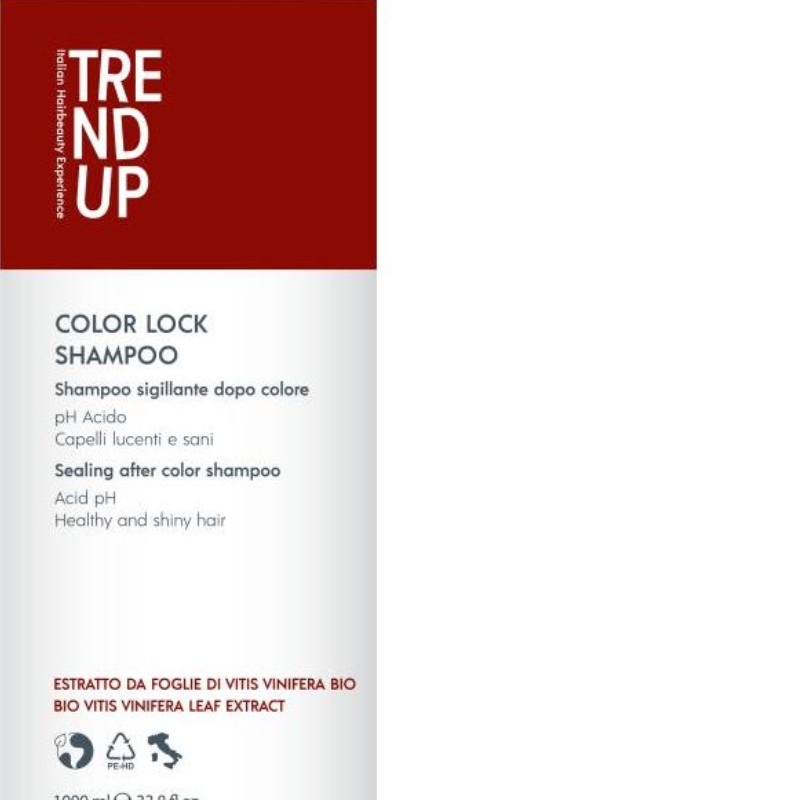 Trend Up Color Lock šampón pro barvené vlasy 1000 ml