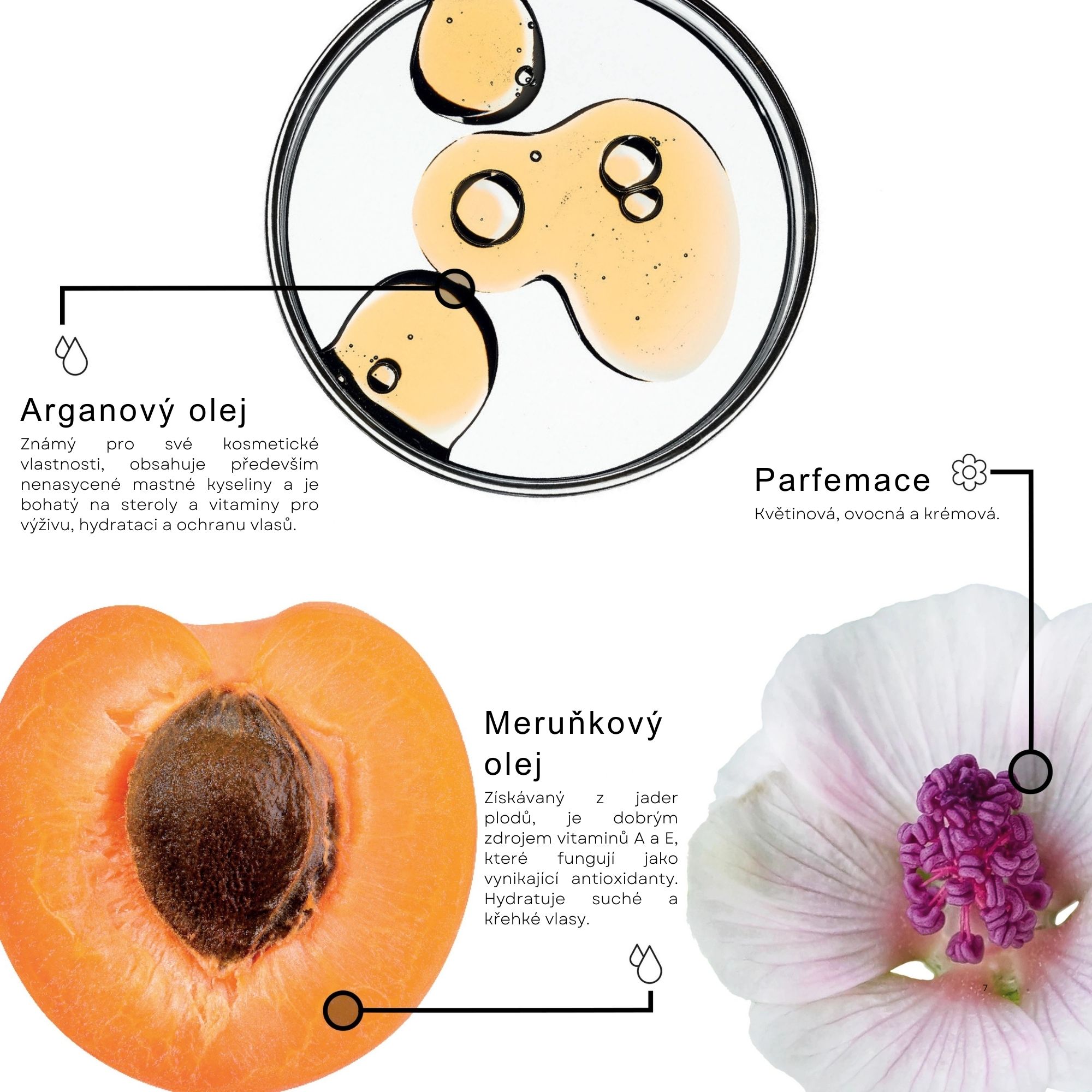 Framesi SUBLIMIS OIL šampon pro suché vlasy 250 ml