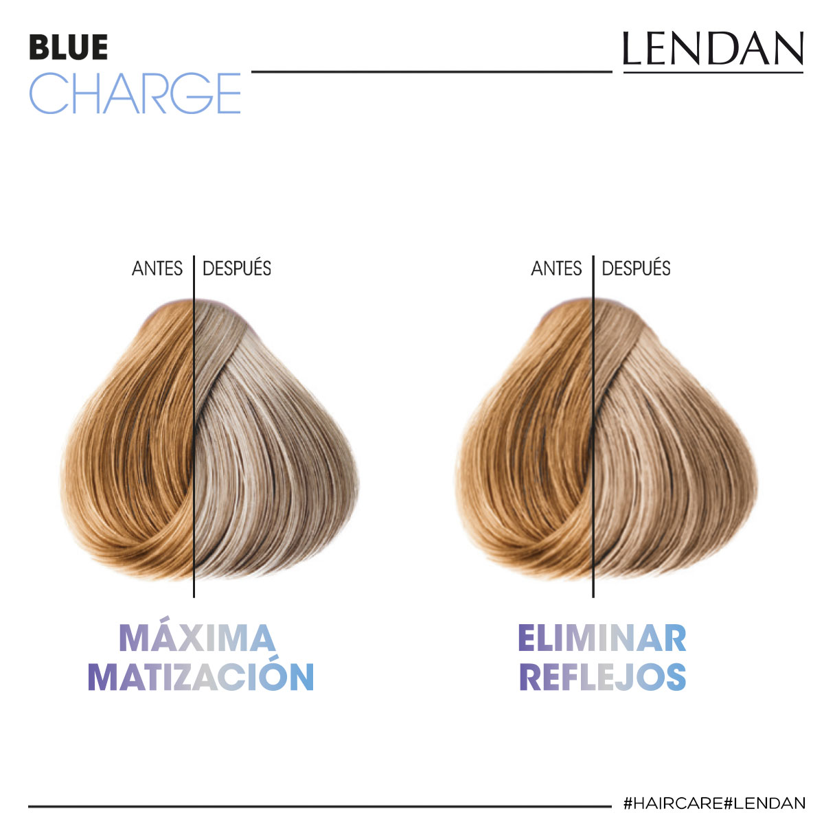 Lendan Blue Charge tónující šampón pro barvené vlasy 300 ml