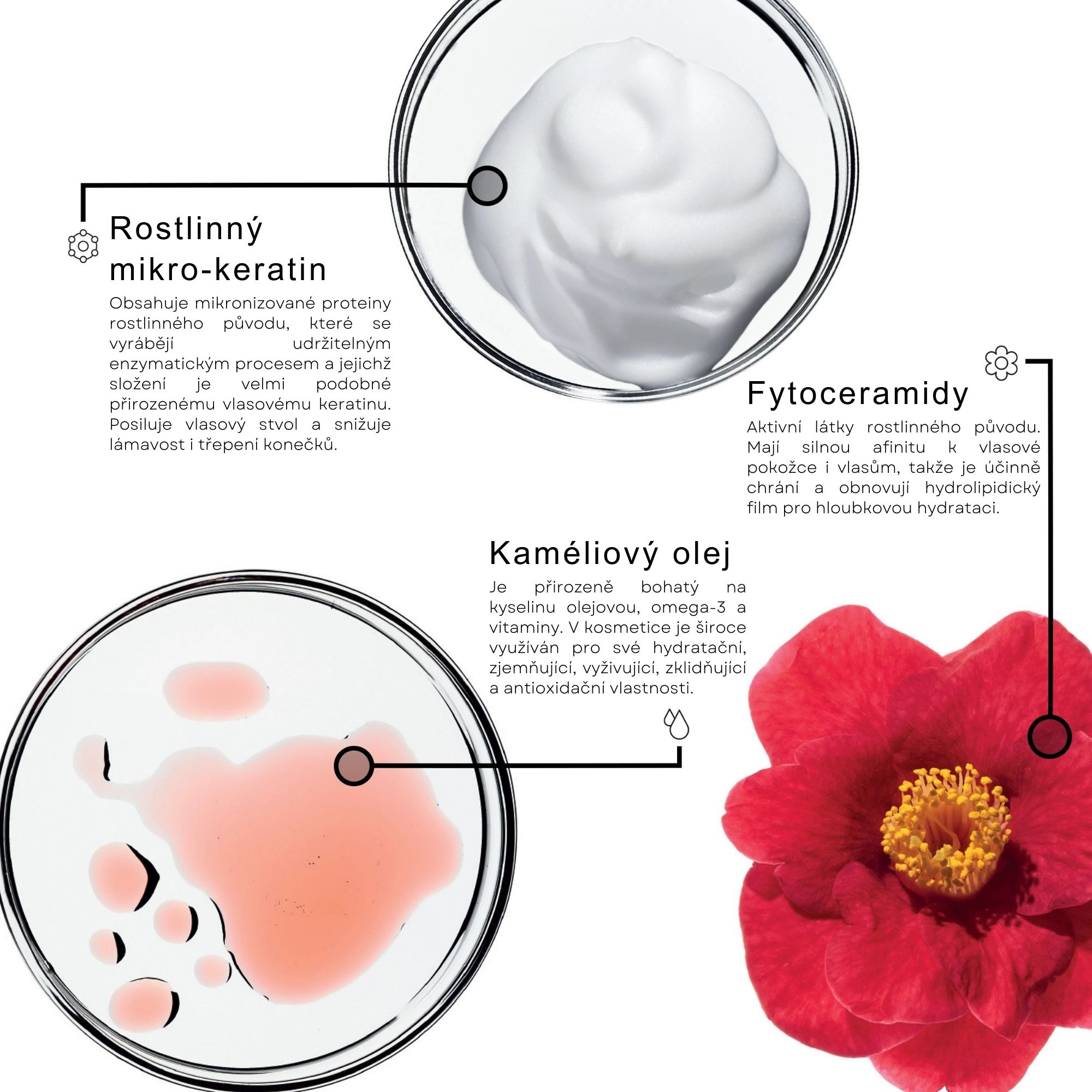 Framesi REPAIR obnovující kondicionér pro poškozené vlasy 250 ml