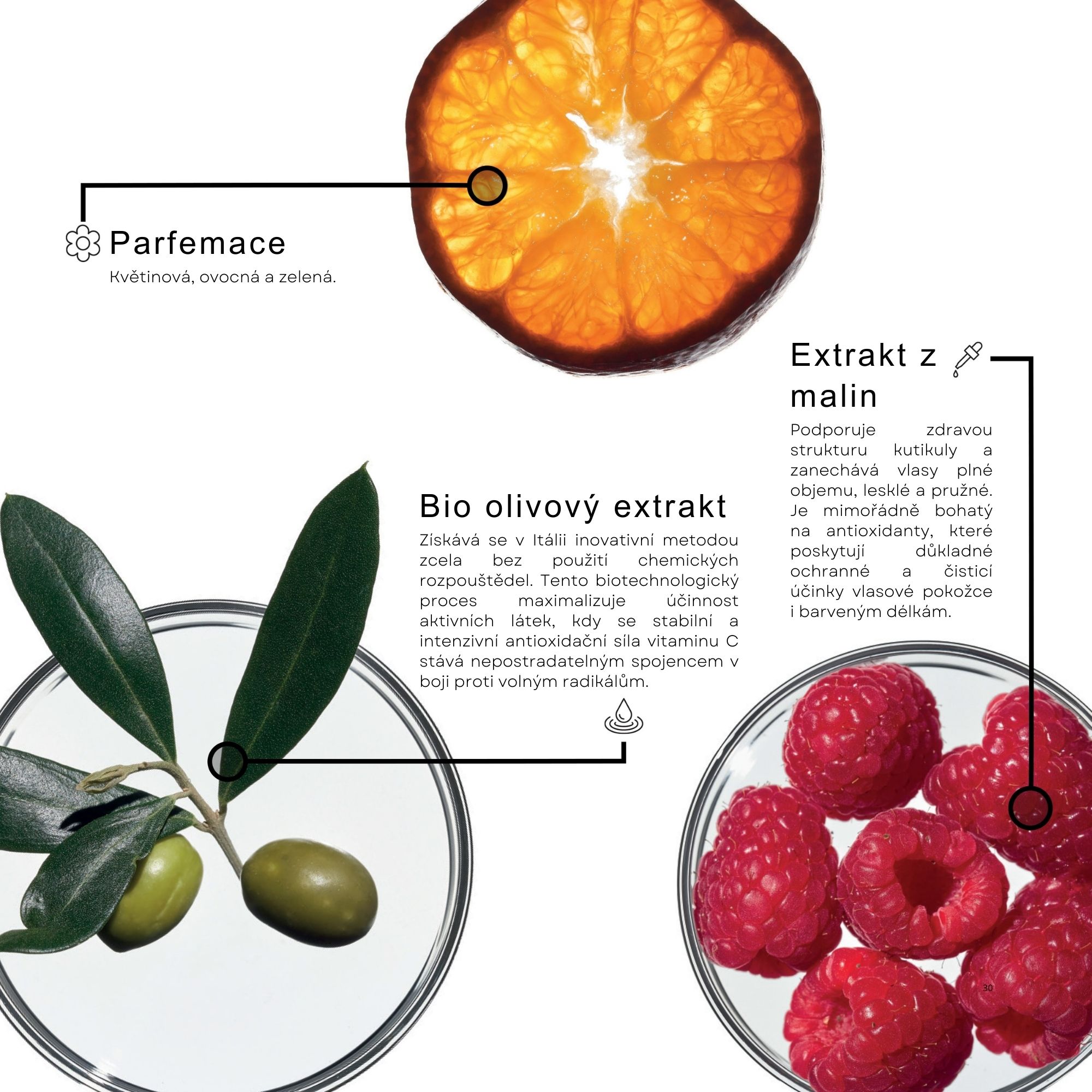 Framesi COLOR PROTECT kondicionér pro barvené vlasy 250 ml