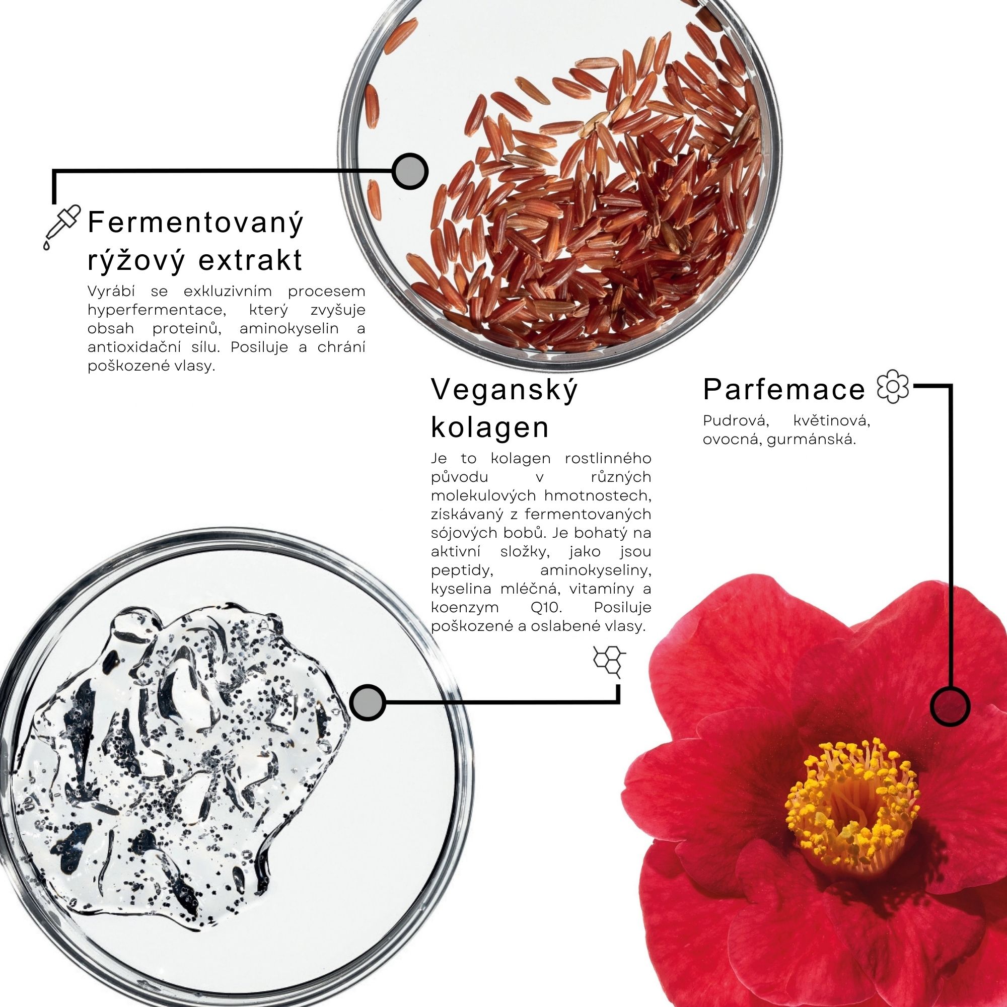 Framesi RESTRUCTURE šampon pro extra poškozené vlasy 1000 ml