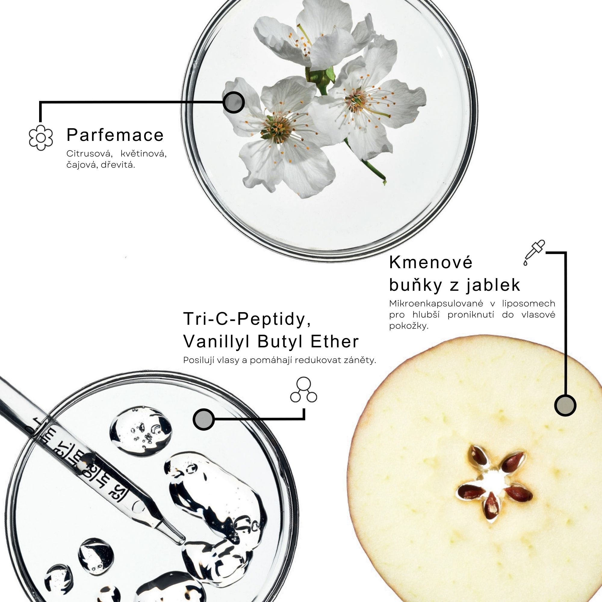 Framesi DENSIFYING šampon pro řídnoucí vlasy 1000 ml