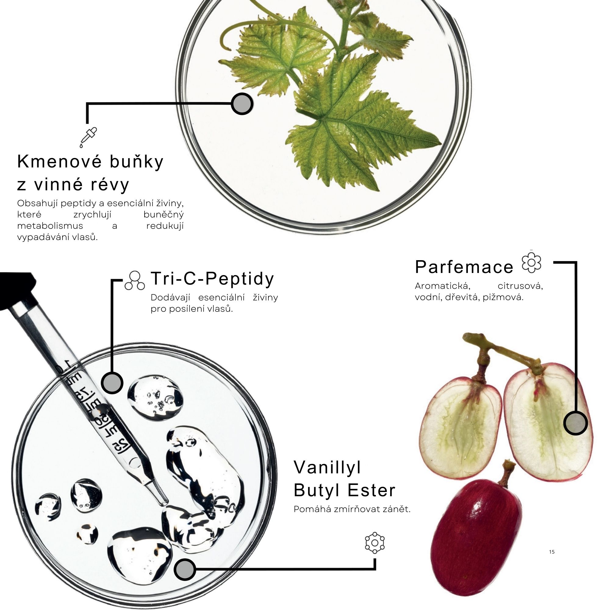 Framesi REINFORCING energizující sprej pro podporu růstu vlasů 150 ml