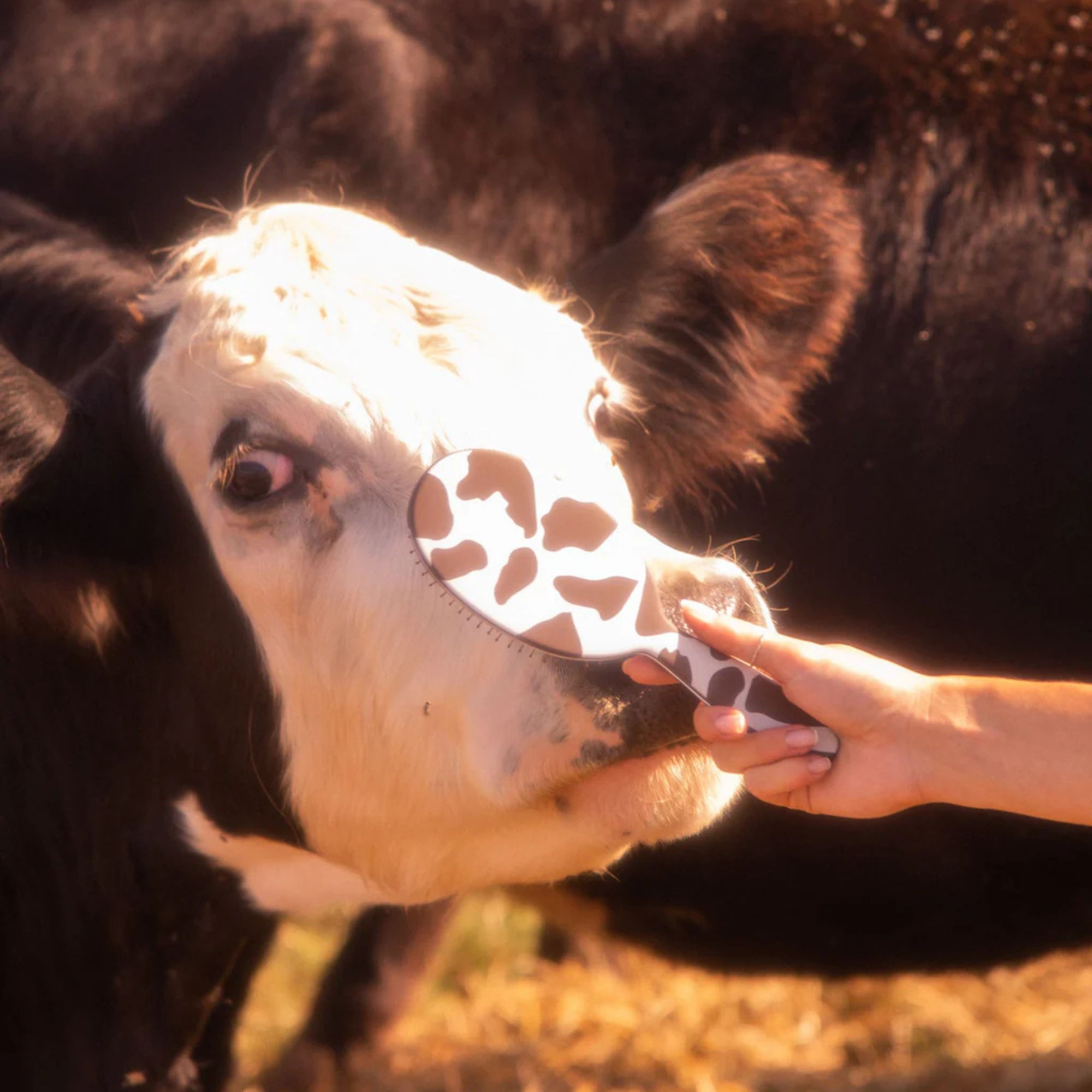 Framar Detangle Cow Yeehaw kartáč na rozčesávání vlasů