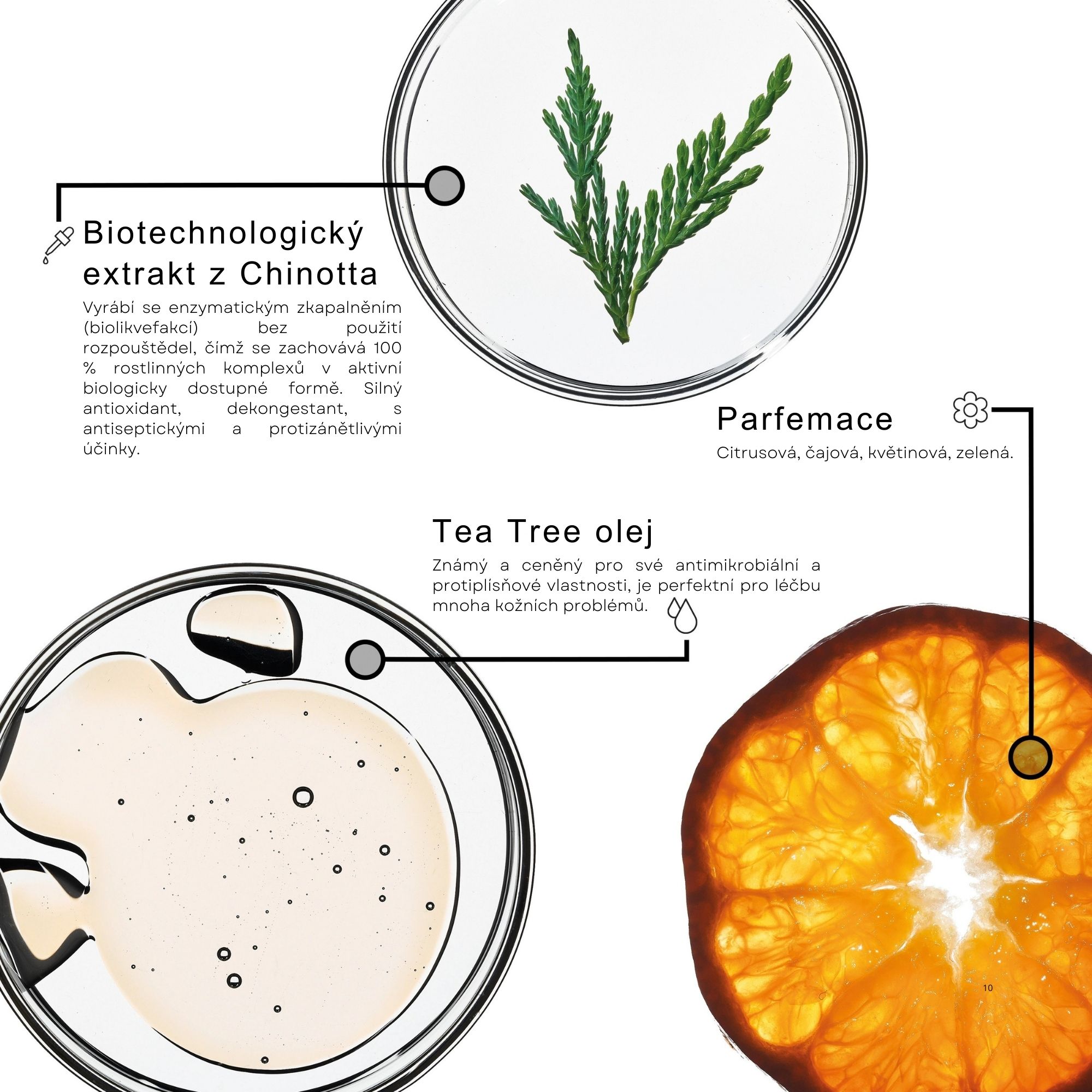 Framesi PURIFYING šampon proti lupům 1000 ml